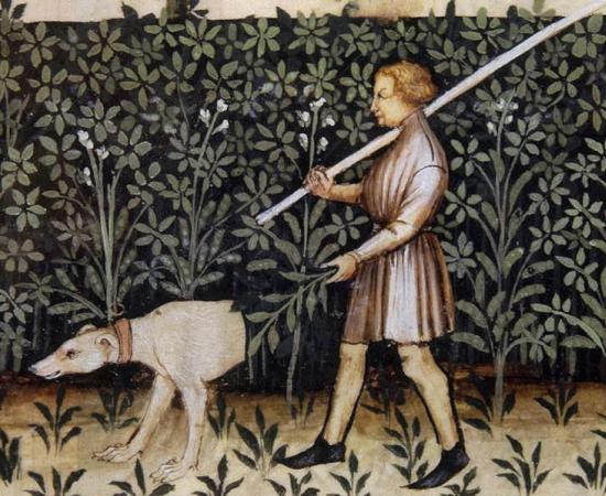 Five Common English Words We Don’t Know the Origins of – Including ‘Boy’ and ‘Dog’